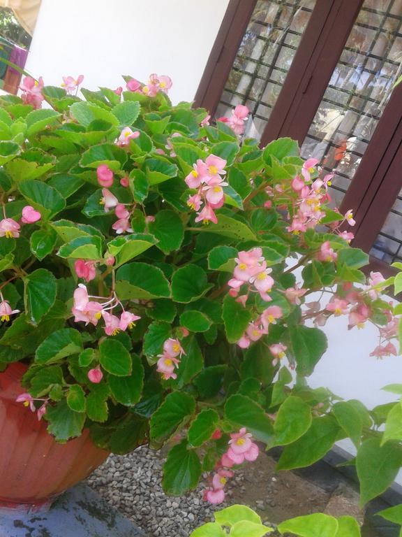 Karthik Villa Варкала Екстер'єр фото